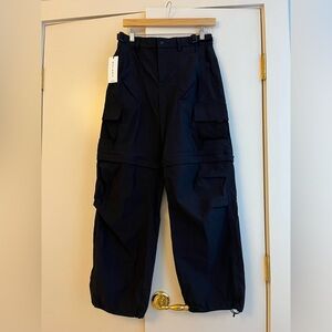 Aritzia Altitude Hiking Cargo Pant